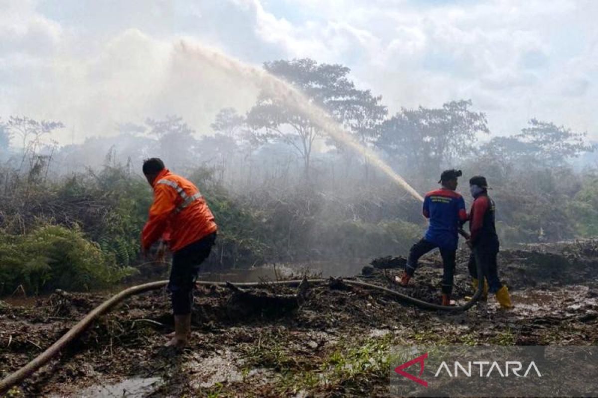 10 Hektare lahan perkebunan kelapa sawit di Aceh Barat terbakar