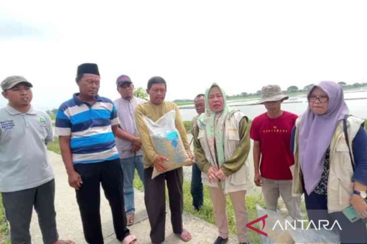 Pemkab Bekasi salurkan bantuan benih dari Kementan untuk petani terdampak banjir