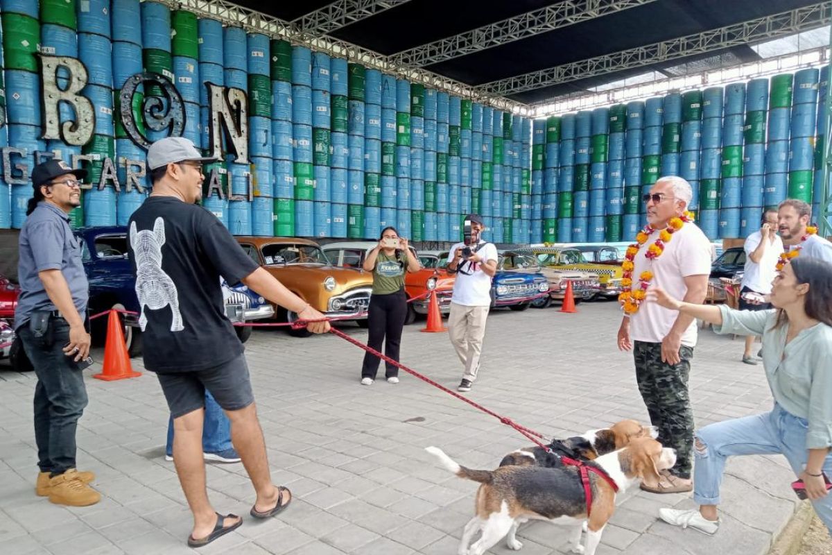 Cesar Millan bagikan tips melatih anjing saat berwisata ke Bali