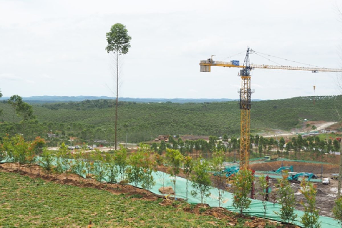 Investors keen to participate in Nusantara development: OIKN