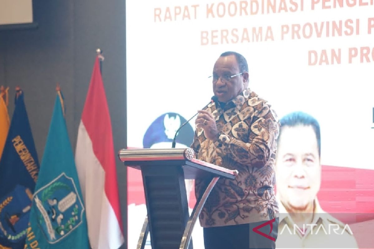 Deputy minister outlines three strategic issues in Papua in 2023-2024