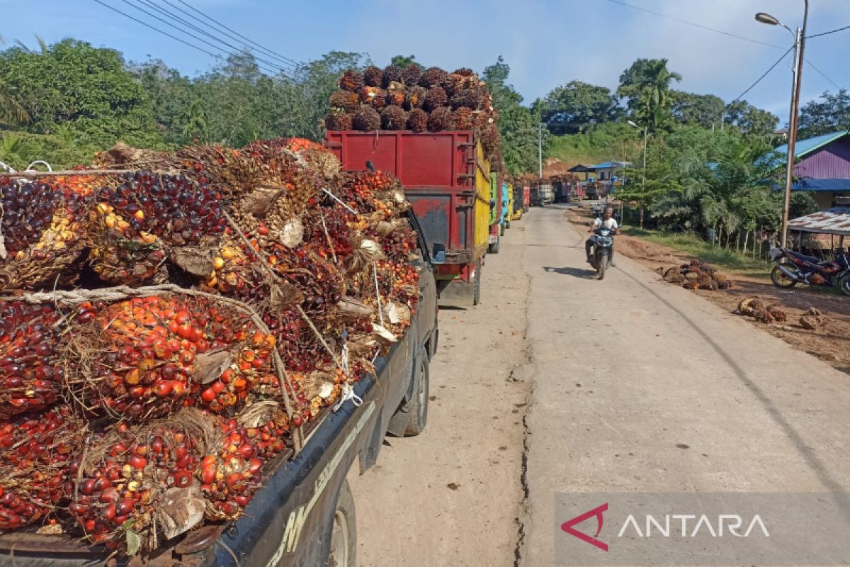 Angkutan barang dilarang melintas di Bengkulu jelang Idul Fitri