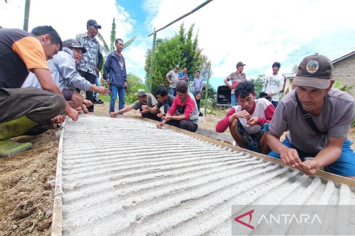 TPL bantu 30 ribu bibit kopi bagi petani di Siborongborong