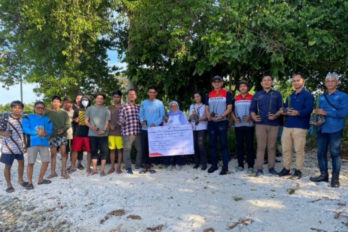 PHE OSES tanam Mangrove di Lampung Timur