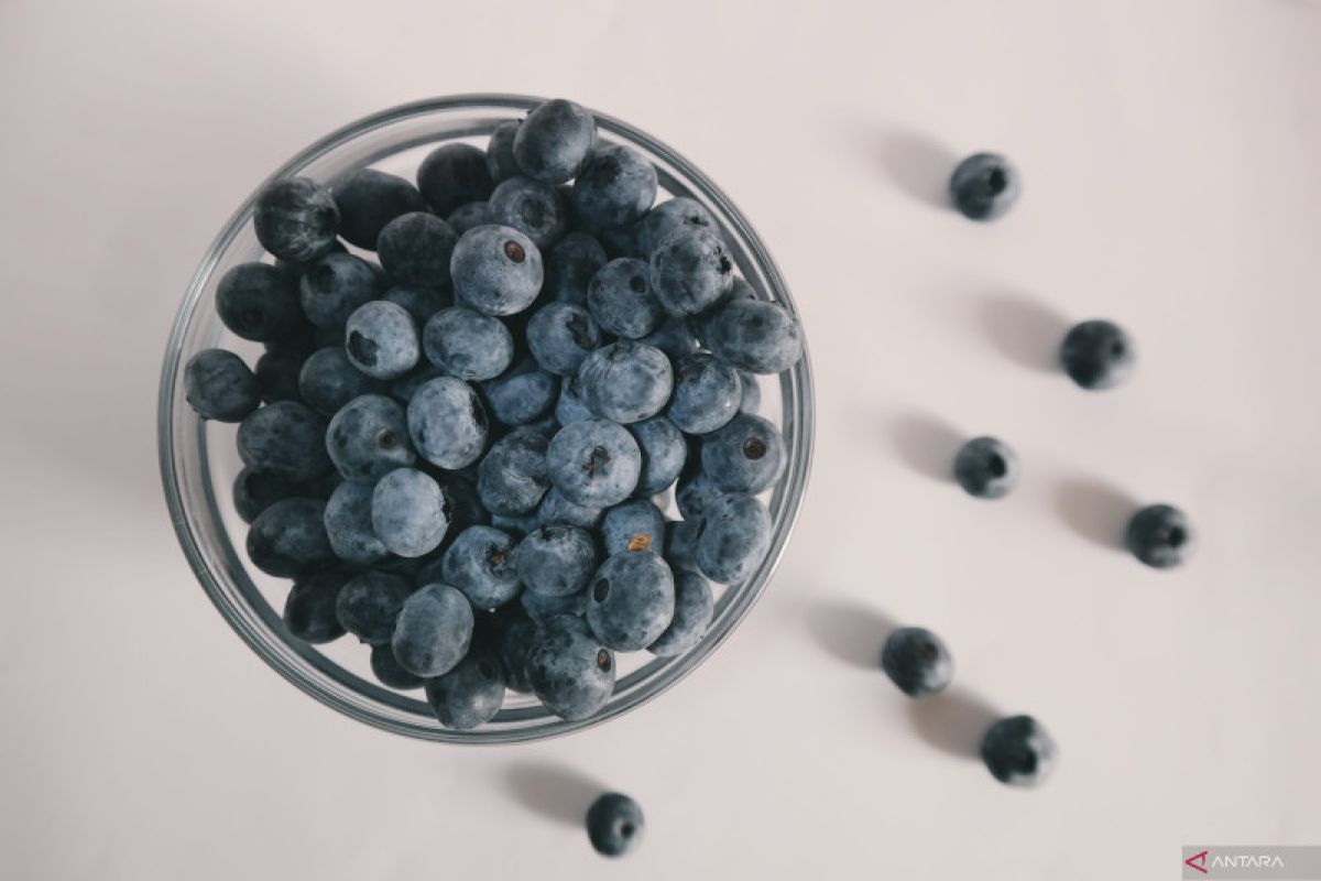 Ini manfaat kesehatan dari segenggam buah blueberry