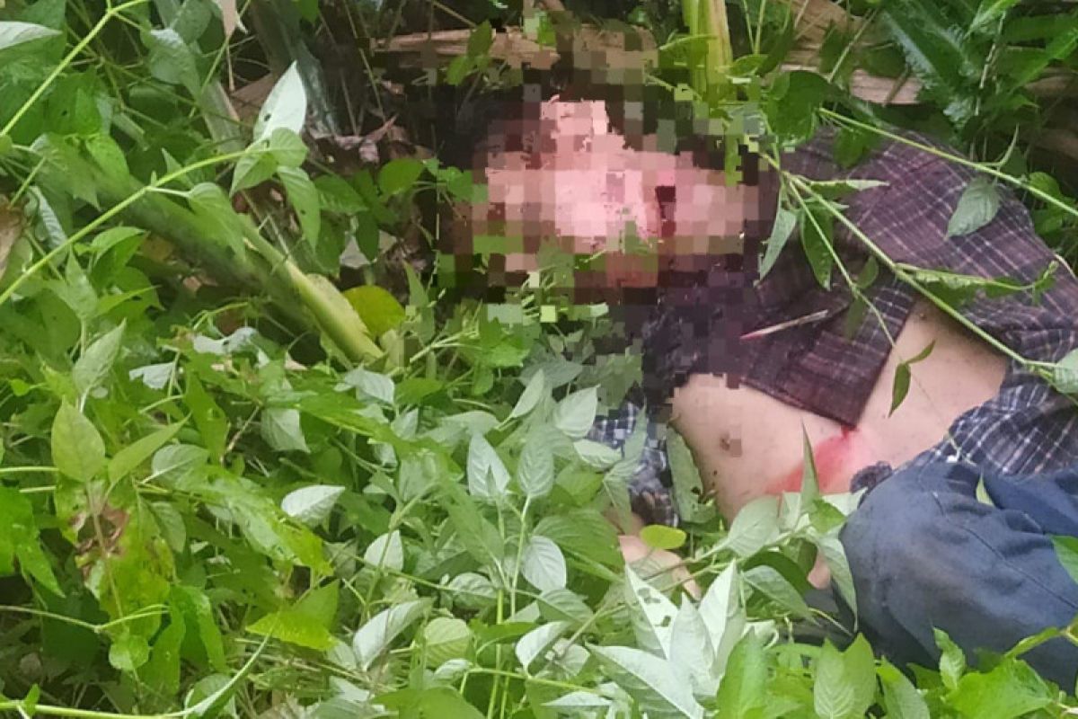 Breaking News - Mayat Laki-laki Ditemukan di Aceh Selatan, Polisi: Diduga Korban Pembunuhan