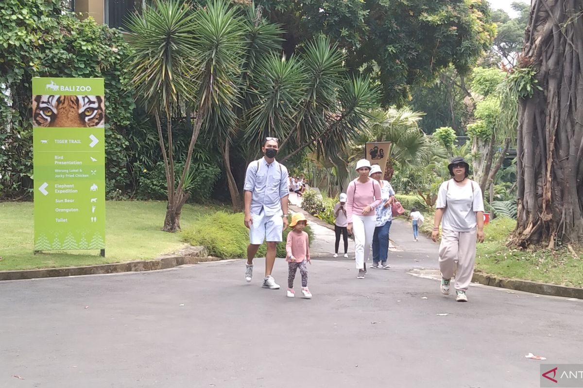 Bali Zoo tambah loket tiket hadapi lonjakan pengunjung libur Lebaran