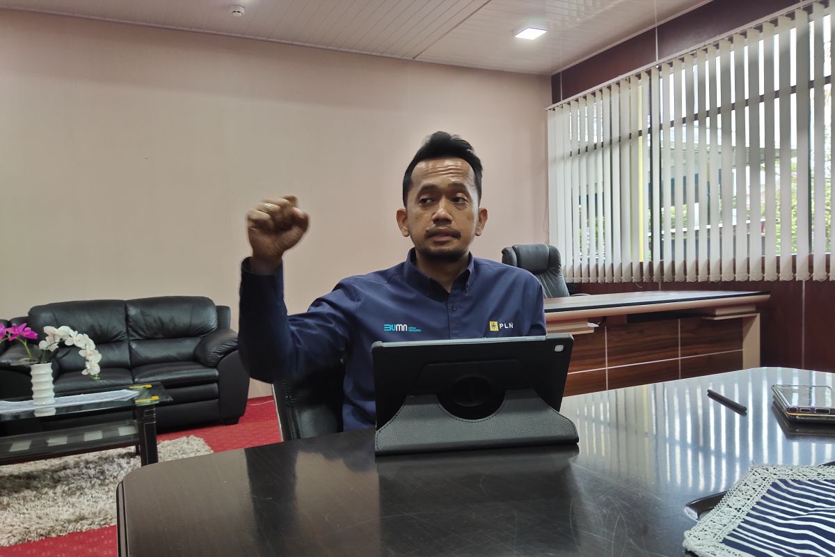 PLN ingatkan pemudik pastikan kondisi listrik hunian aman saat ditinggal