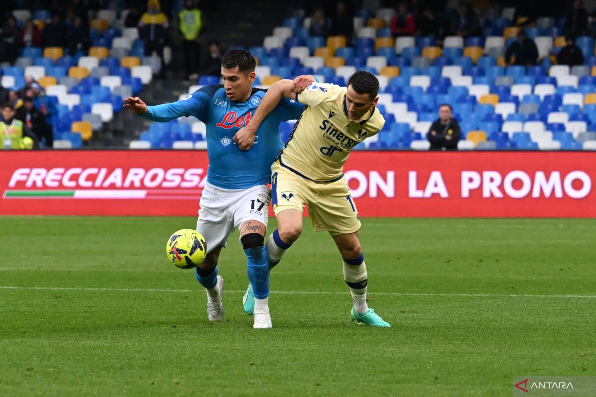 Liga Italia - Verona bangkit dari ketinggalan untuk tahan imbang Atalanta 2-2