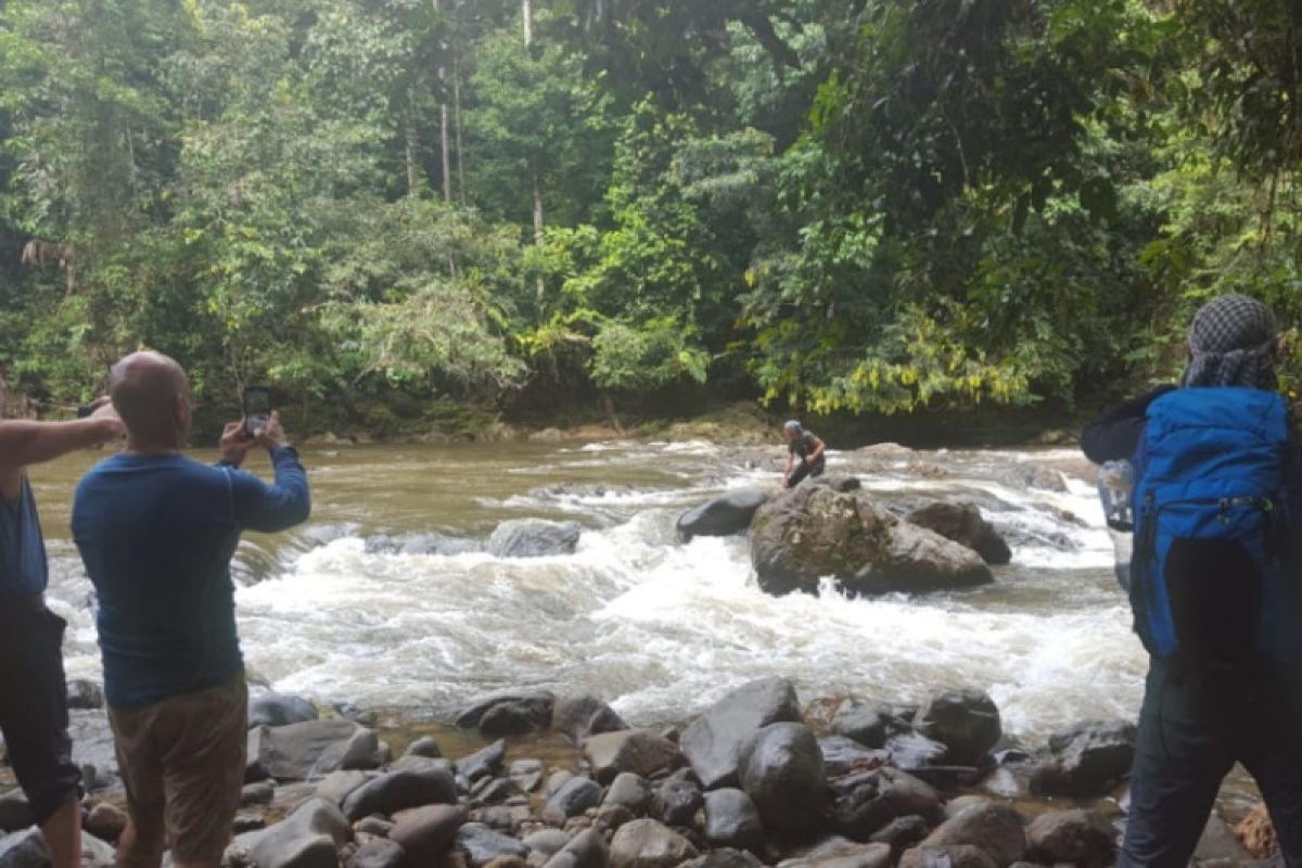 Wisatawan dari Eropa berjalan kaki di hutan Kalimantan