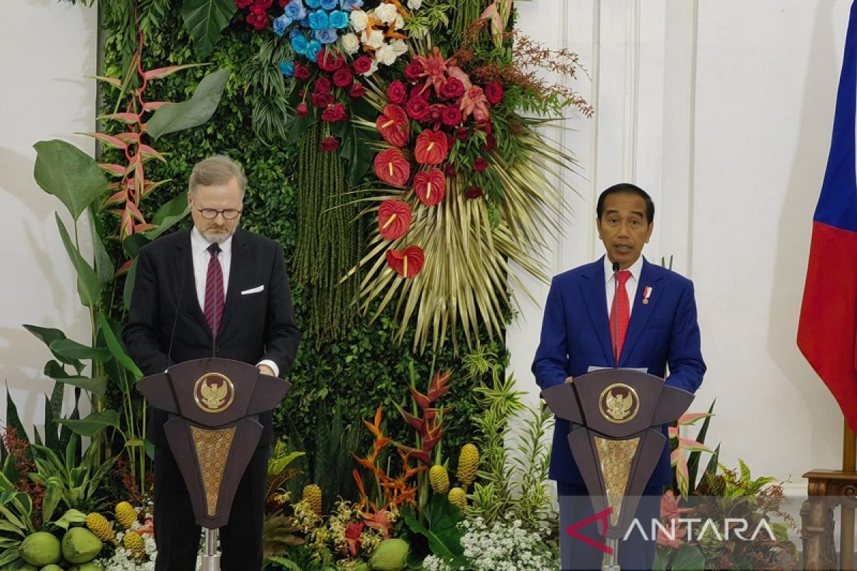 Indonesia undang Ceko berinvestasi di IKN Nusantara