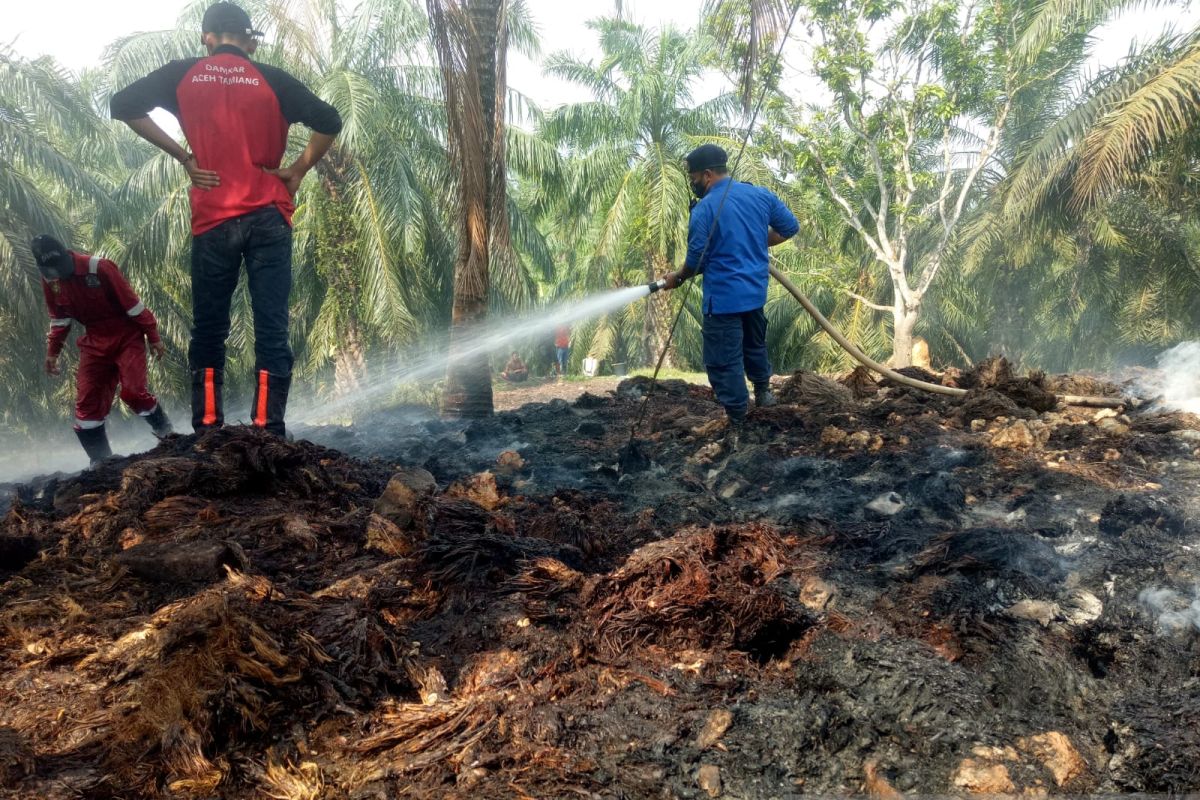 Cuaca panas picu kebakaran hutan dan lahan di Aceh Tamiang