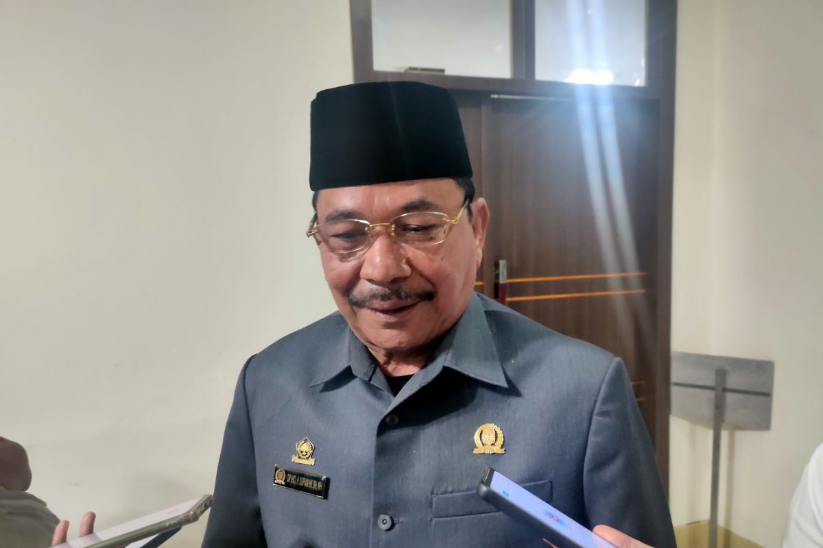 ARUS MUDIK - Ketua DPRD Kalsel ingatkan angkutan lebaran jaga keselamatan penumpang