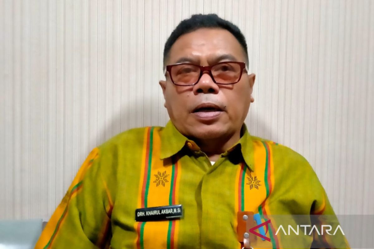 Ketersediaan daging sapi di NTB aman jelang Lebaran 2023