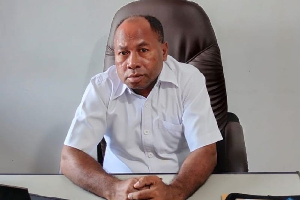 Komnas HAM Papua harap Presiden bentuk tim pembebasan pilot Susi Air