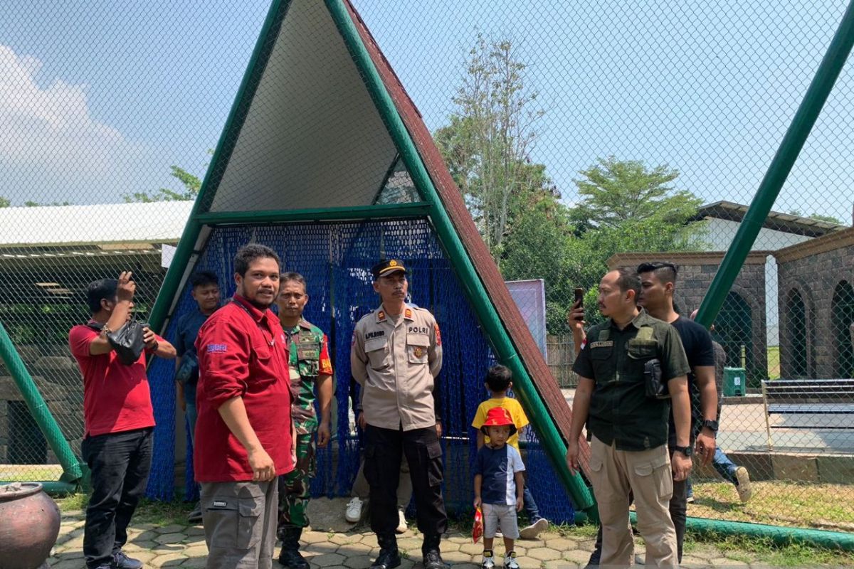 Semarang Zoo sambut wisatawan saat libur Lebaran dengan "Zooforia"