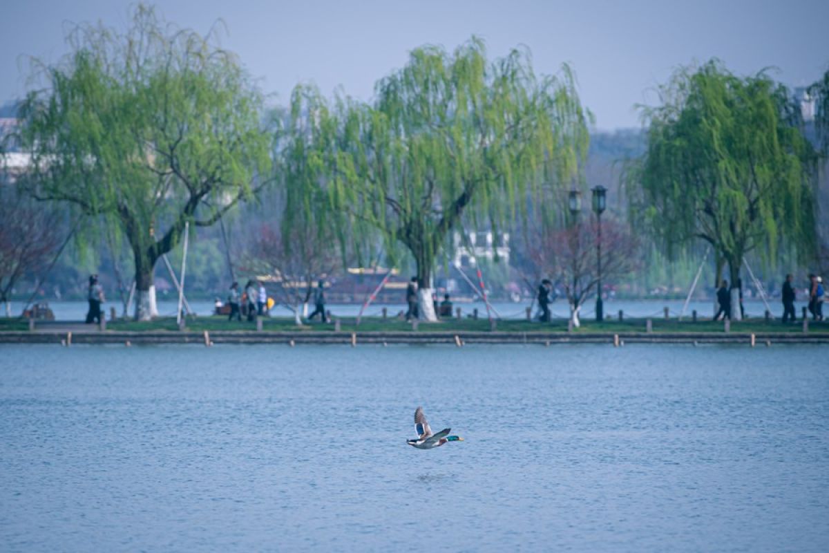 China rilis rencana perlindungan ekosistem perairan