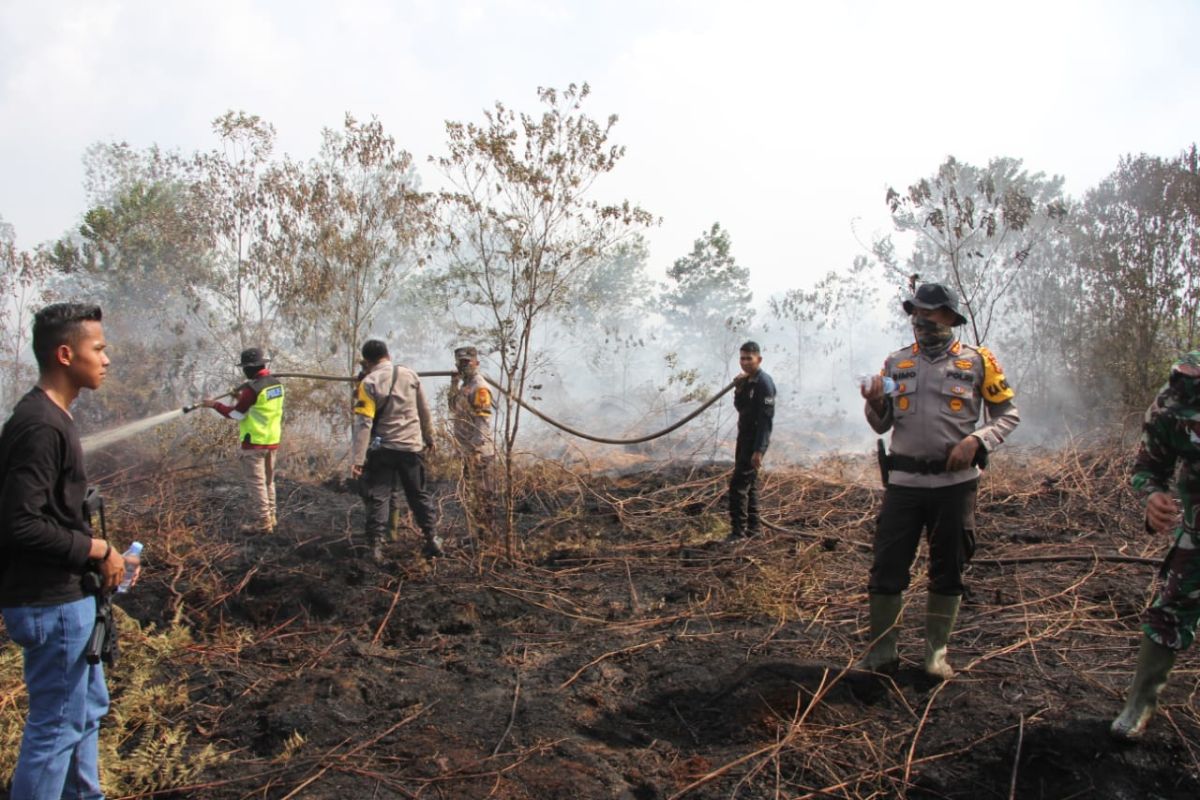 10 hektare lahan terbakar di Dumai dan Bengkalis