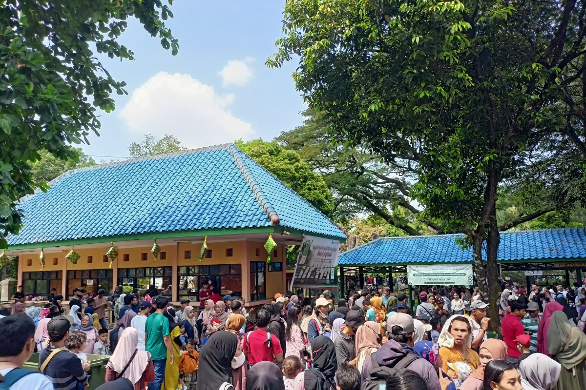 Taman Margasatwa Ragunan siagakan enam ambulans