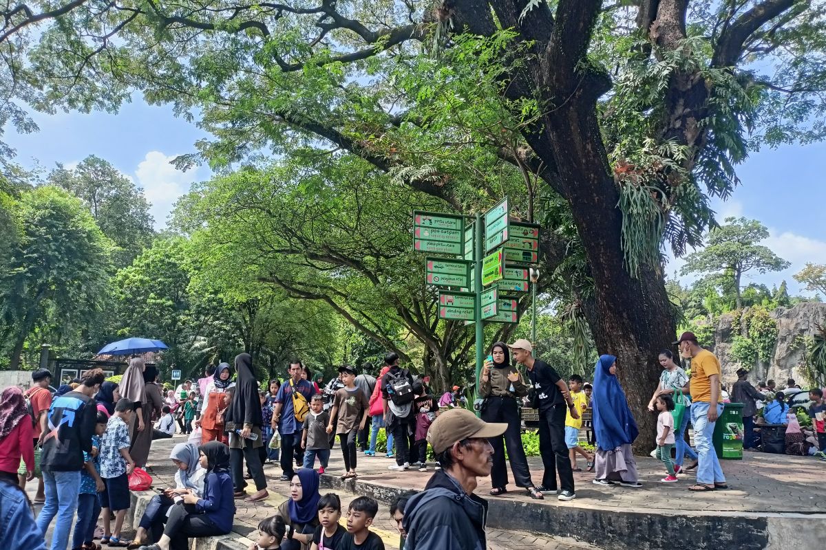 Ragunan jadi destinasi favorit libur lebaran karena murah