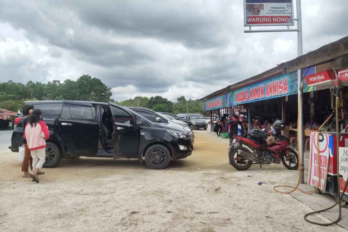 Jalur Trans Kalimantan dari Palangka Raya-Barito Timur ramai pemudik