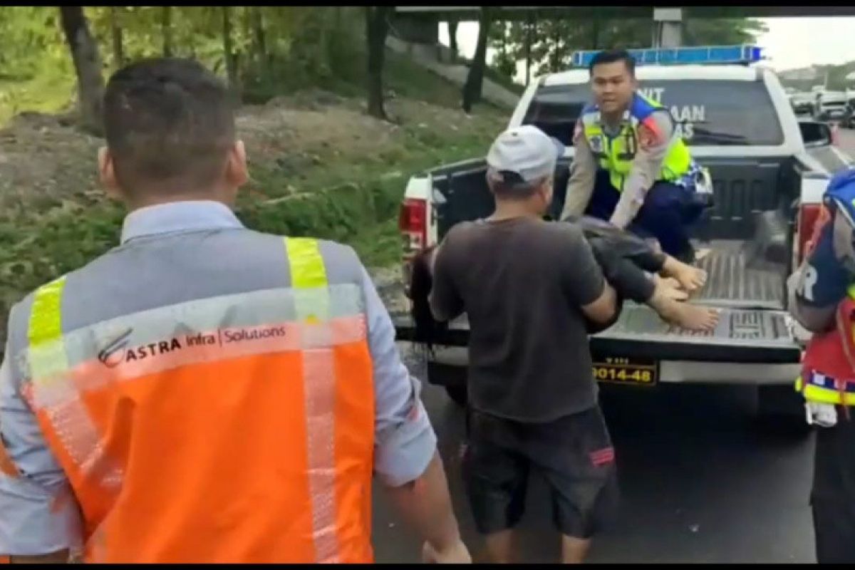 Petugas evakuasi tiga korban tewas akibat kecelakaan di Cipali KM 153