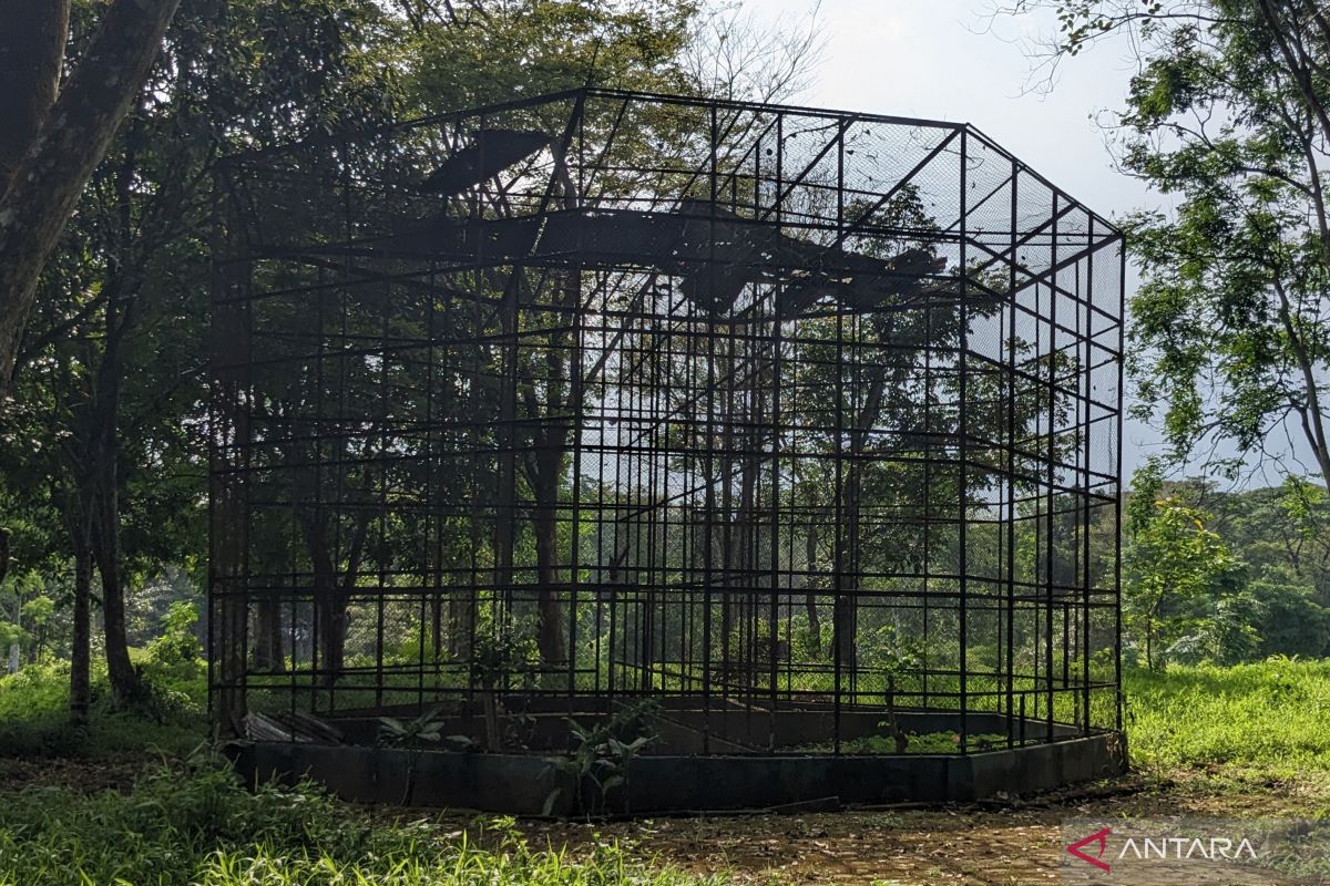Manajemen: Kandang kosong di Medan Zoo segera direnovasi