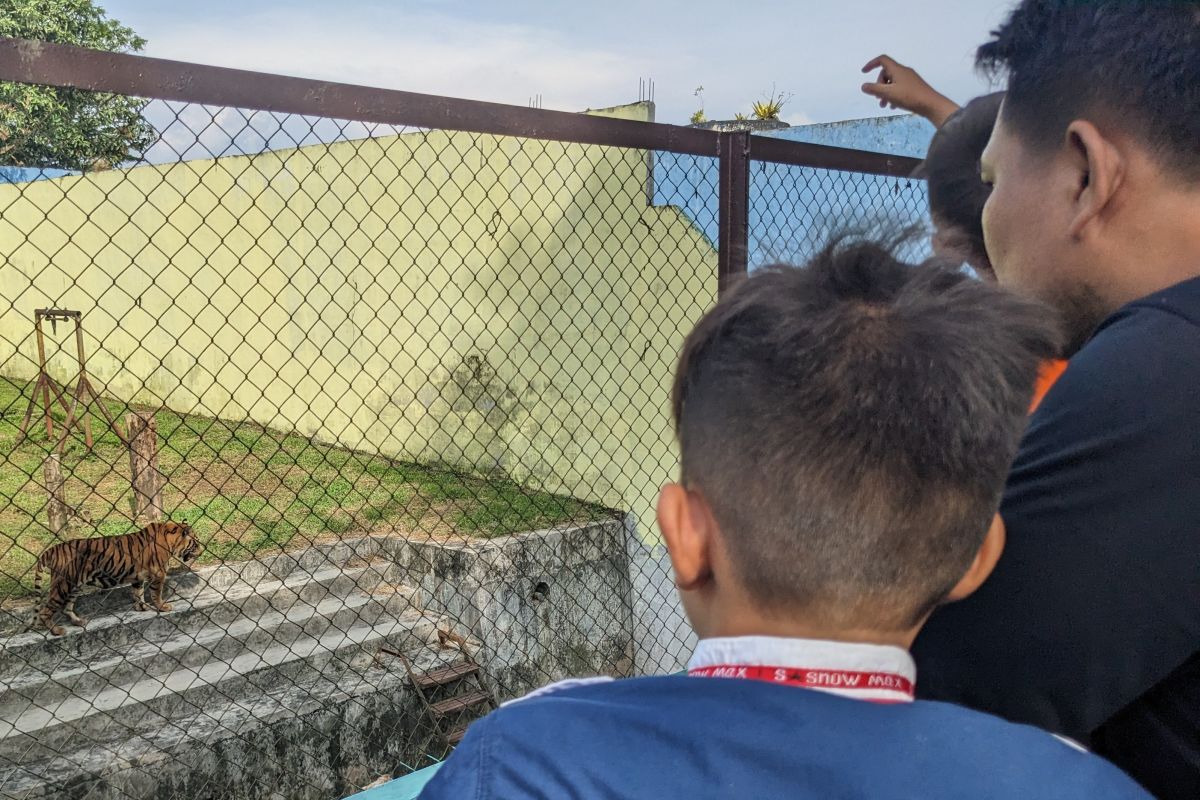 Medan Zoo targetkan 25 ribu pengunjung selama 22-30 April