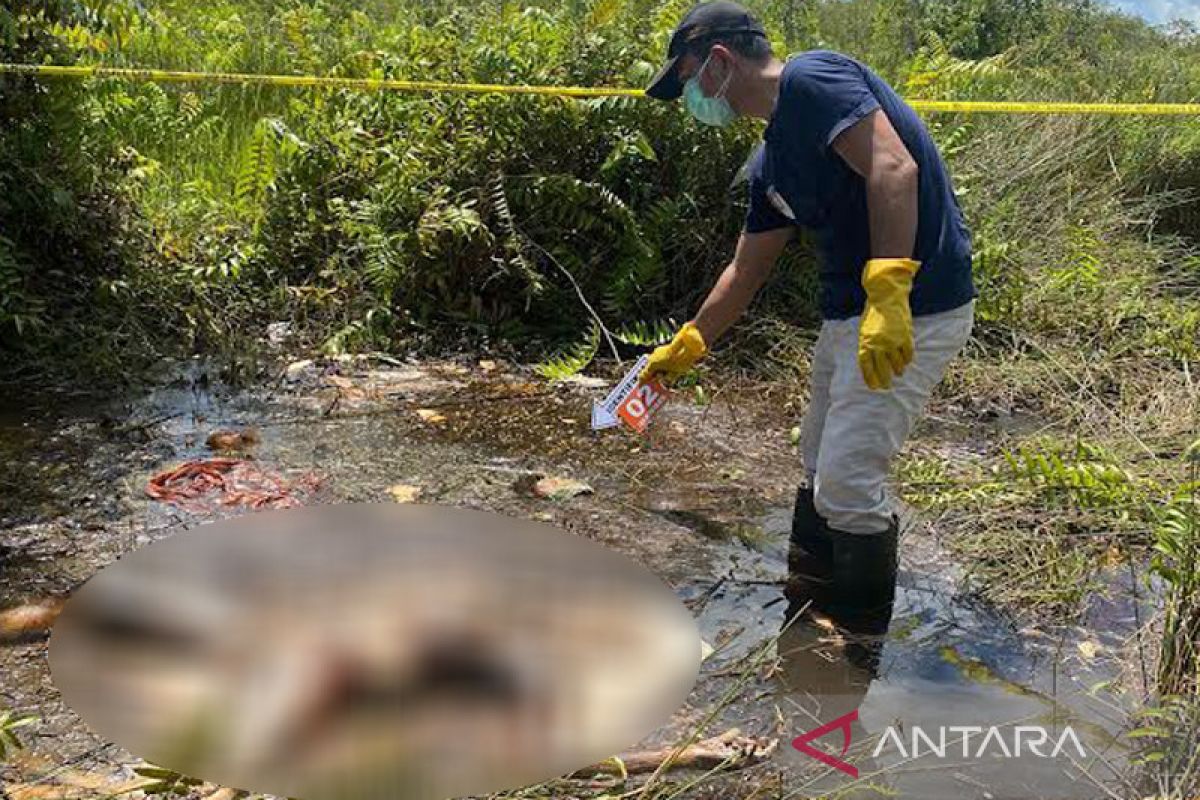 Sosok mayat perempuan membusuk di Kapuas diduga meninggal karena kelaparan