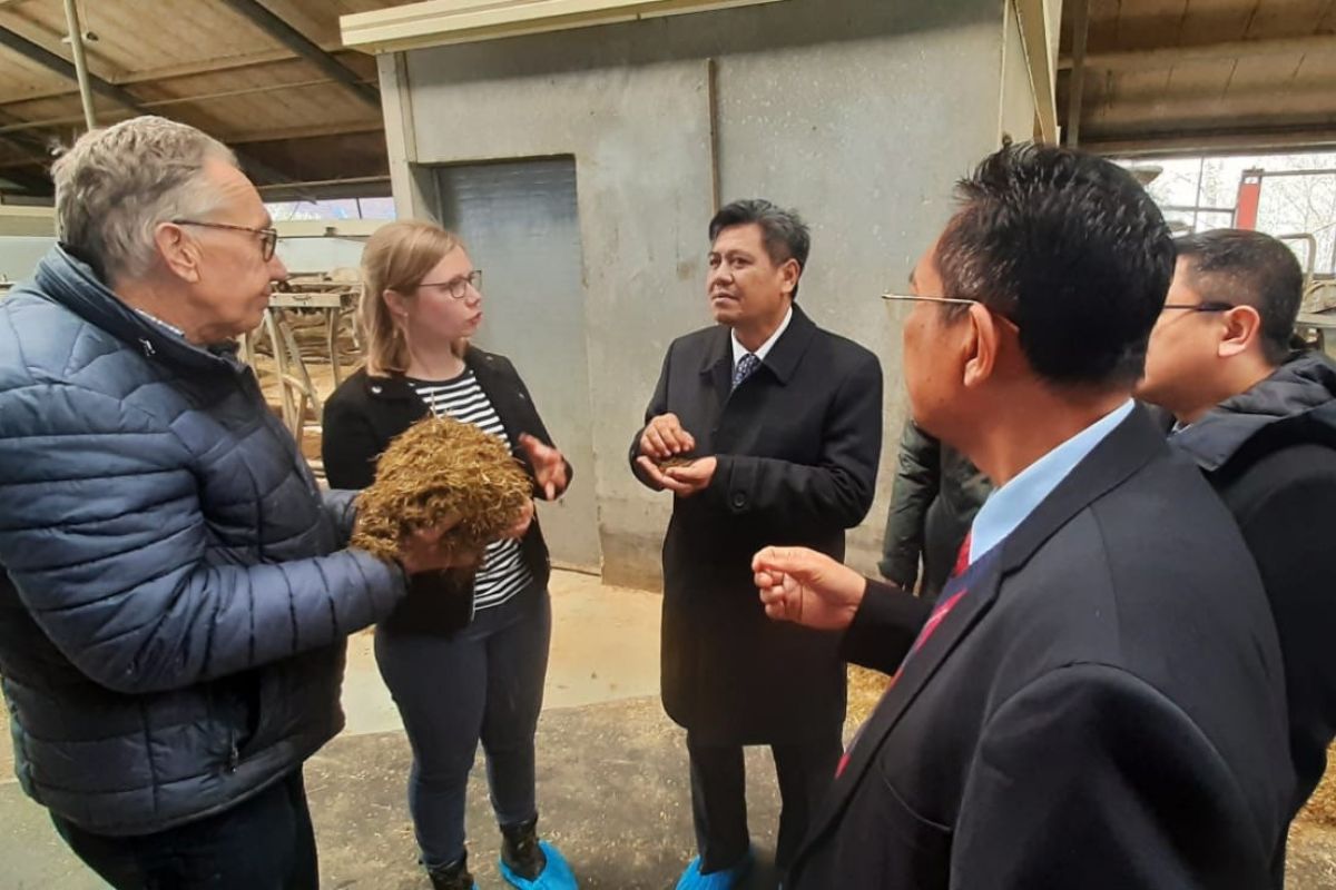 Indonesia explores dairy industry cooperation with the Netherlands