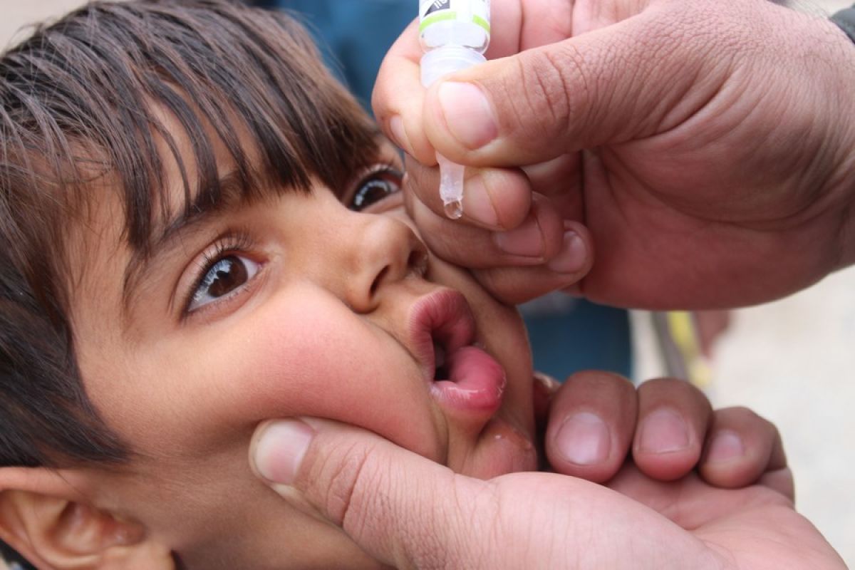 WHO luncurkan kampanye "Big Catch-up" untuk vaksinasi anak