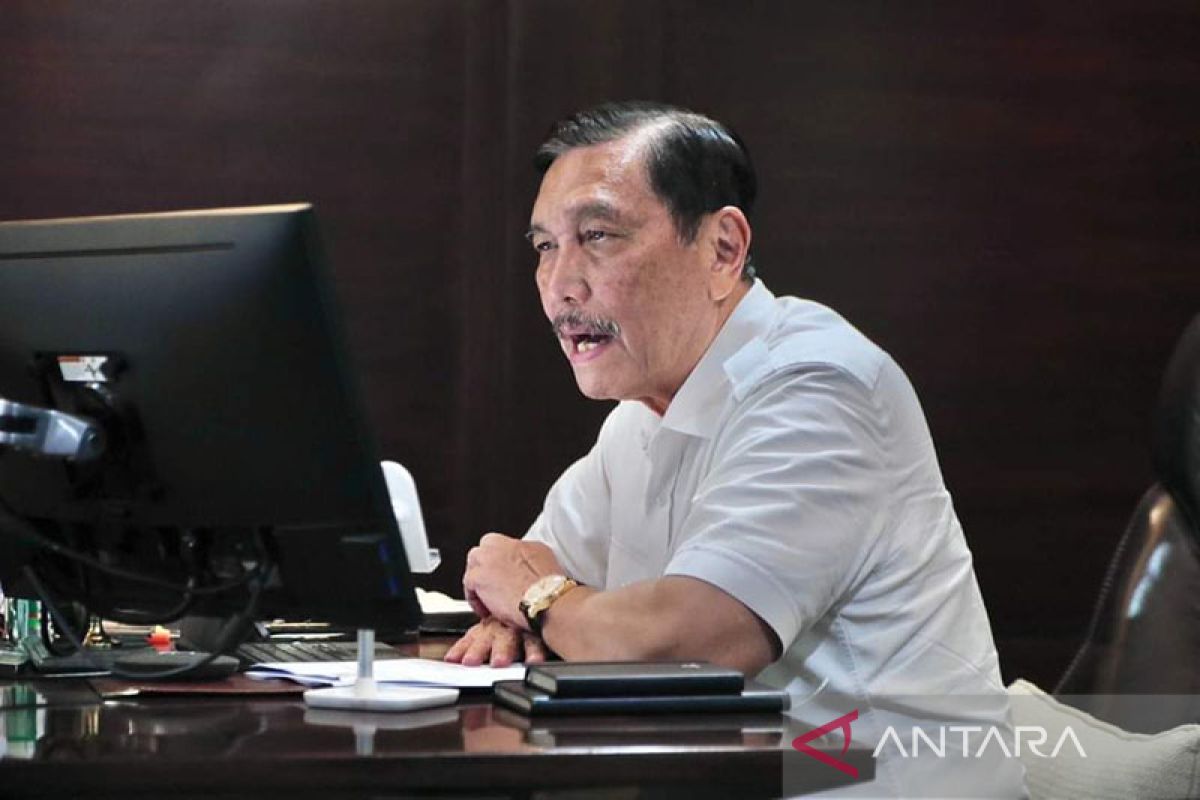 Subsidi kendaraan listrik dikritik, Luhut: jangan lawan arus dunia