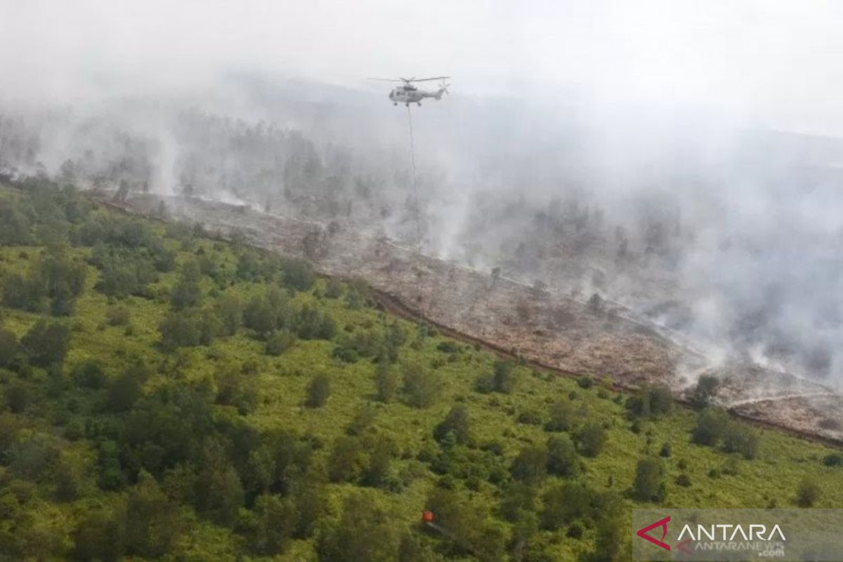 Pemprov Kalteng antisipasi karhutla di daerah gambut rawan terbakar