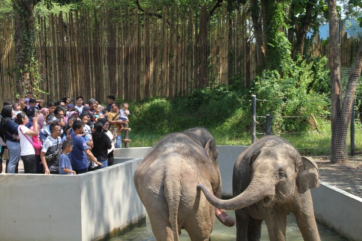 Album Asia: Warga padati kebun binatang saat libur Idul Fitri