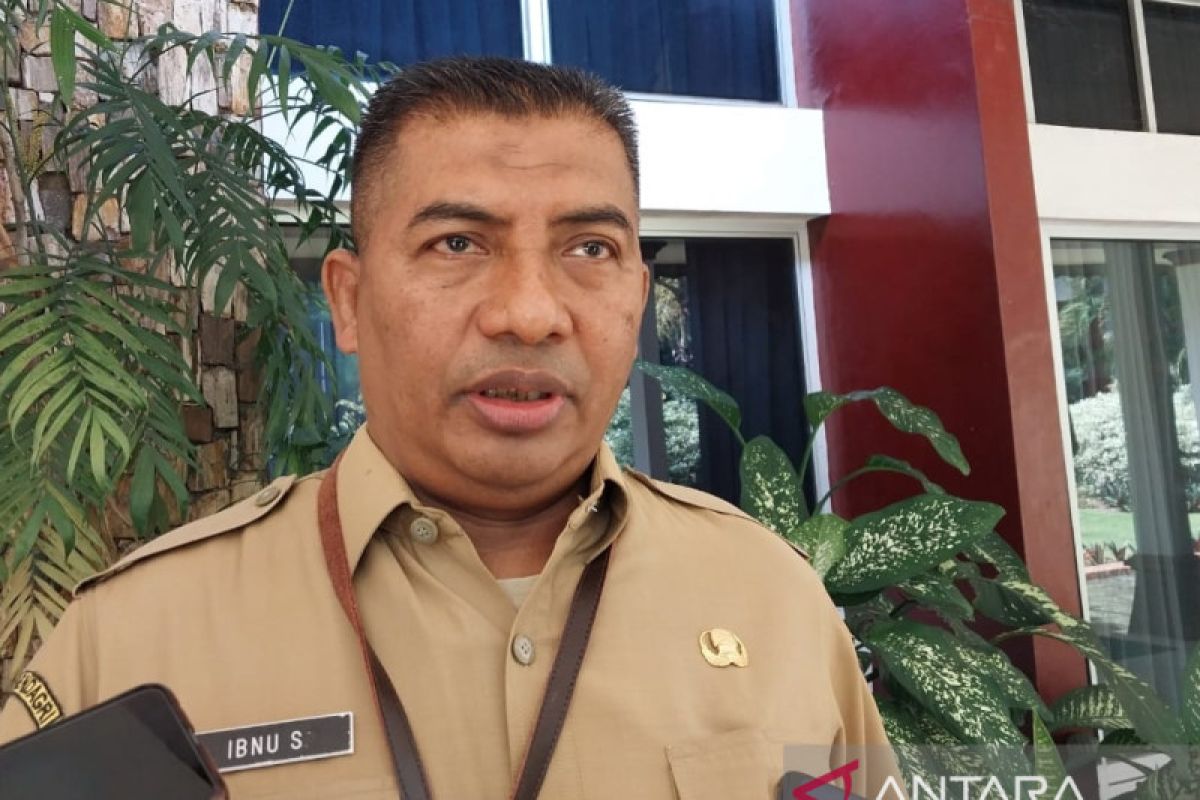 Inspektorat NTB himpun keterangan audit bibit sapi Lombok Barat