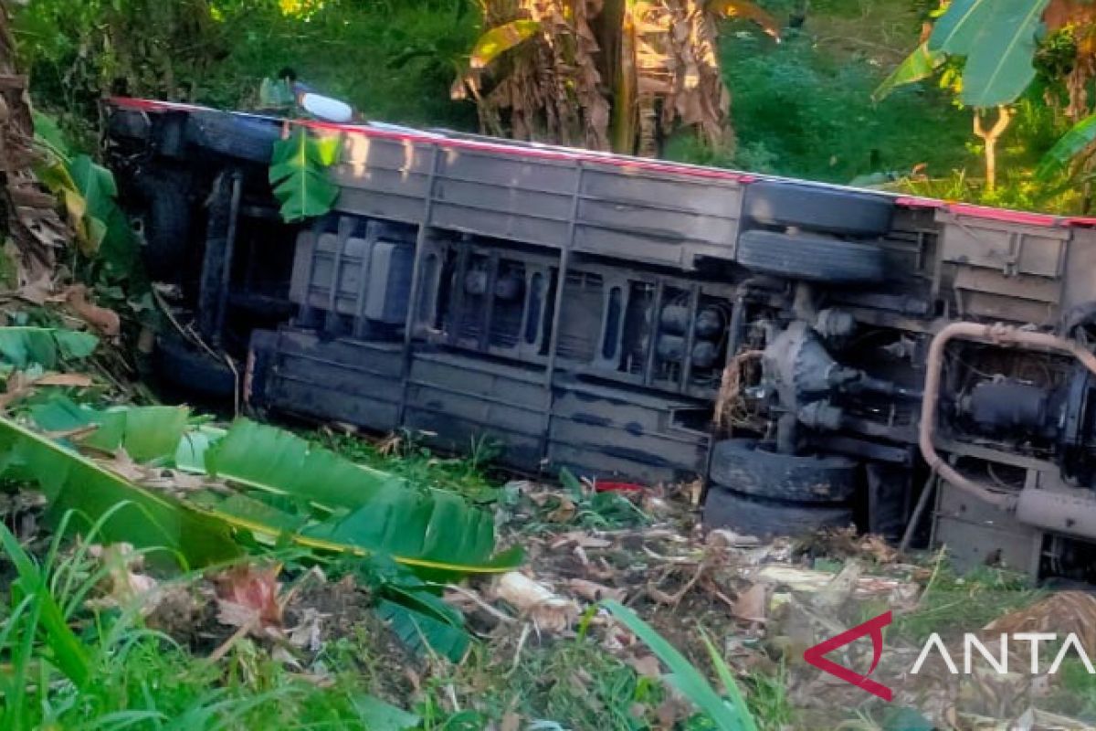 Polres Jembrana tangani 11 orang terluka akibat bus masuk jurang