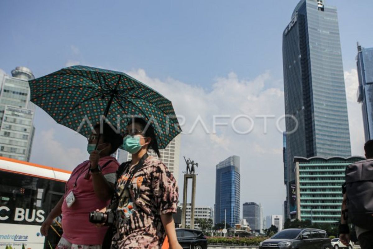 CIPS: Cuaca panas berpotensi ancam ketahanan pangan Indonesia