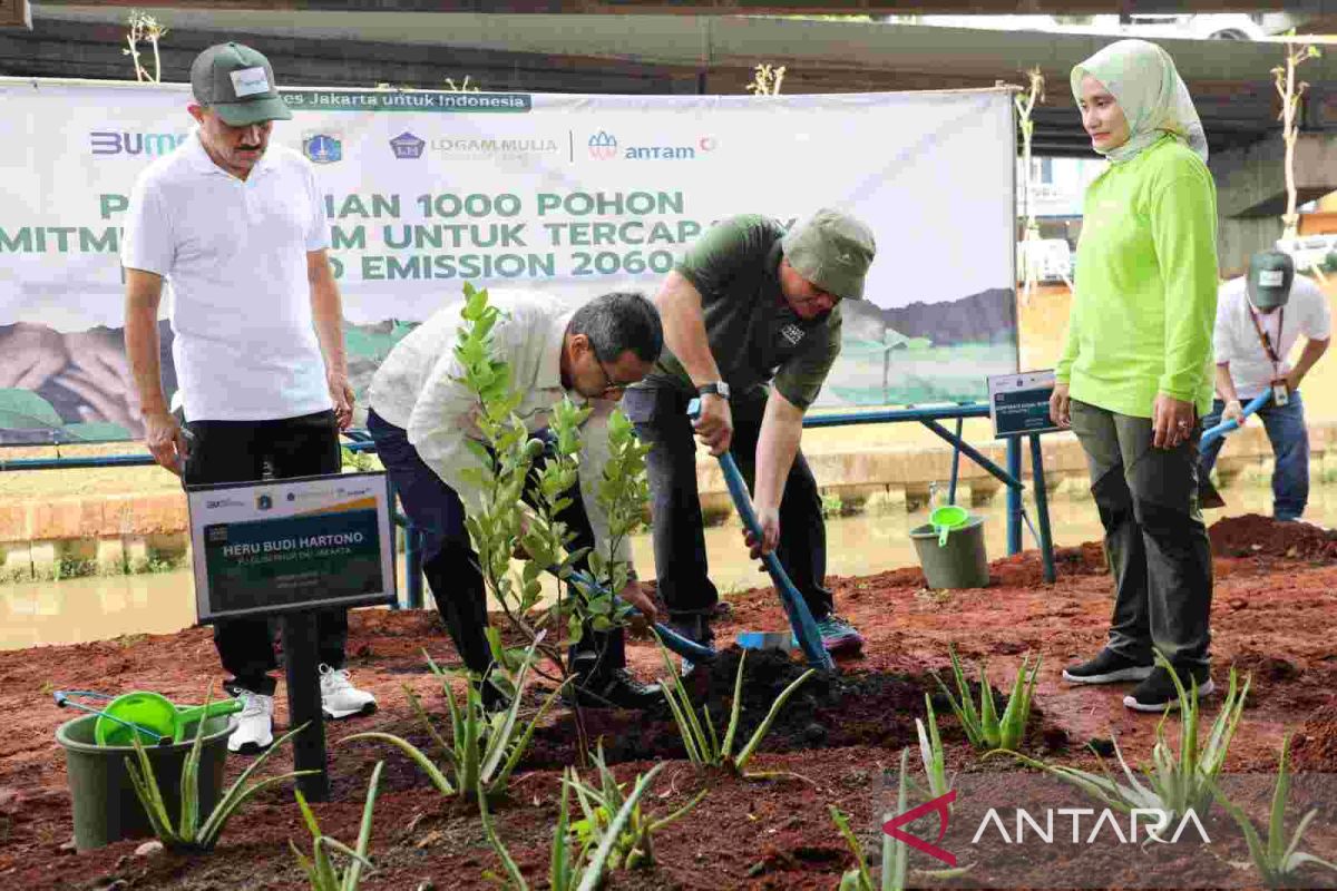 Jakarta govt, ANTAM plant 1,000 trees to meet emissions target