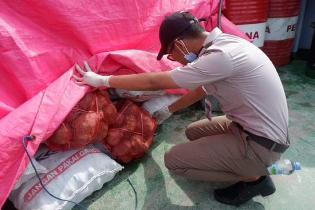 22 ton bawang merah Sulbar dikirim ke Kalsel