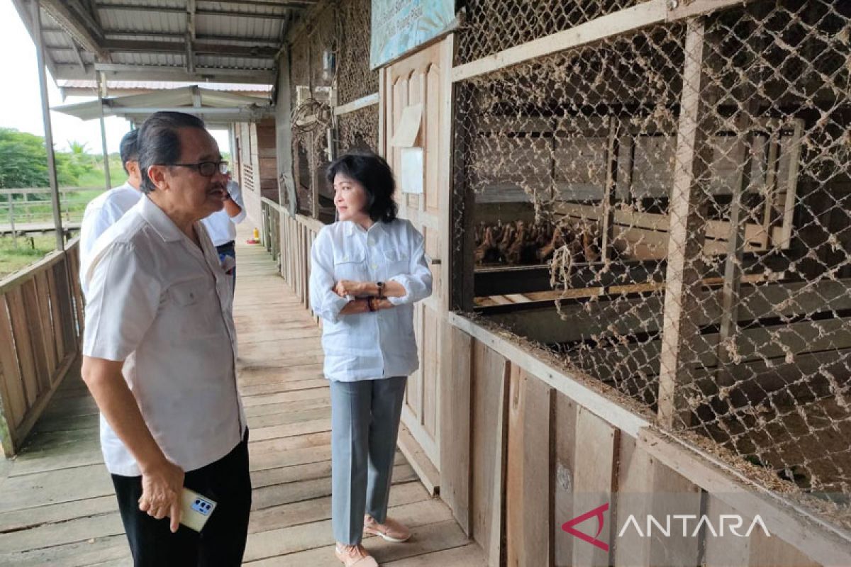 Usai bertemu petani, Teras Narang sebut manfaat food estate mulai terasa