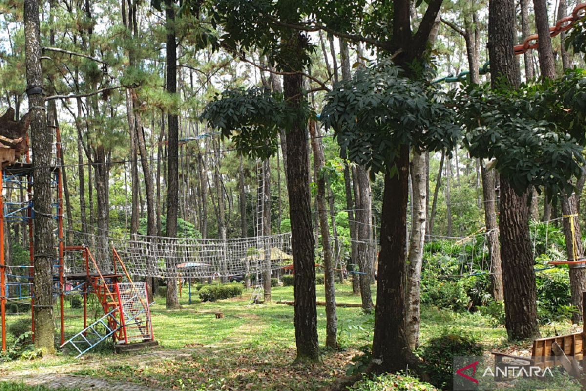 Ramai, pengunjung hutan wisata Punti Kayu Palembang