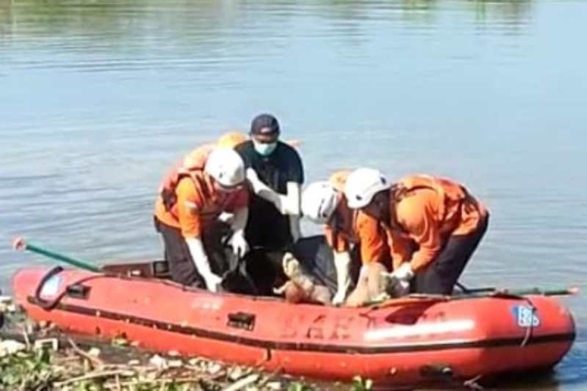 Pencari ikan hanyut  di Sungai Serayu ditemukan tewas di Waduk Mrica