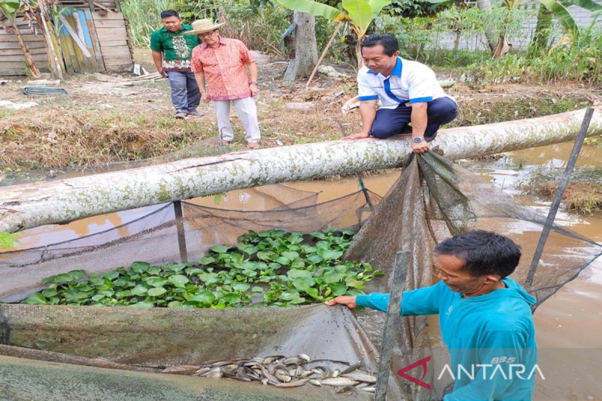 Langkah warga Mentaren II membudidayakan  ikan patut dicontoh, kata Teras Narang