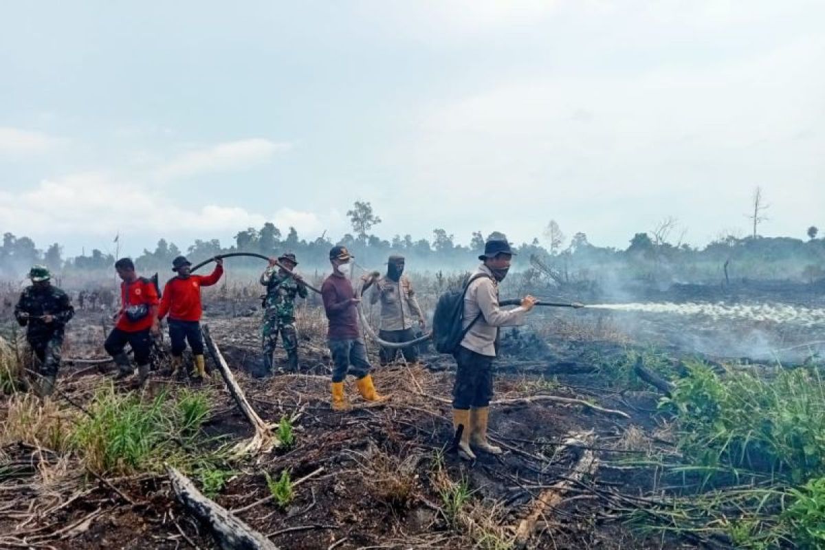 Karhutla seluas tiga hektare di Rokan Hilir berhasil dipadamkan