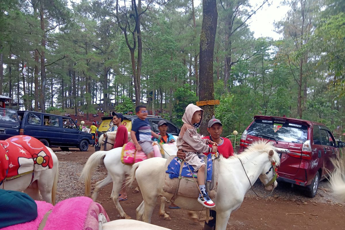 Kunjungan wisata di Malino meningkat akhir liburan