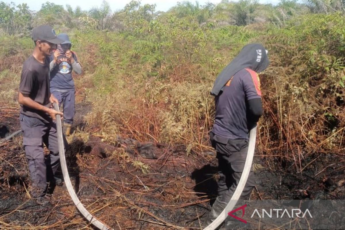 Kebakaran 1,3 Ha lahan kebun di Aceh Barat sudah padam