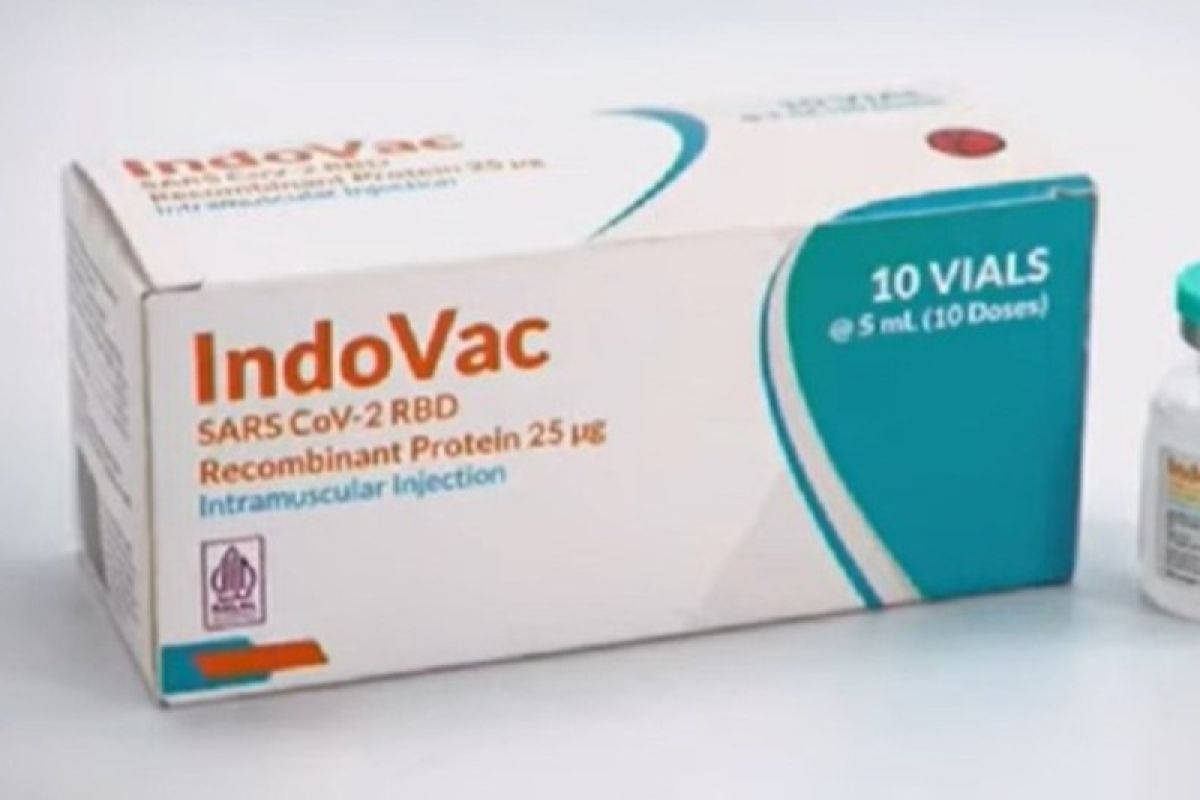 IndoVac sudah bisa digunakan sebagai penguat vaksin primer Pfizer