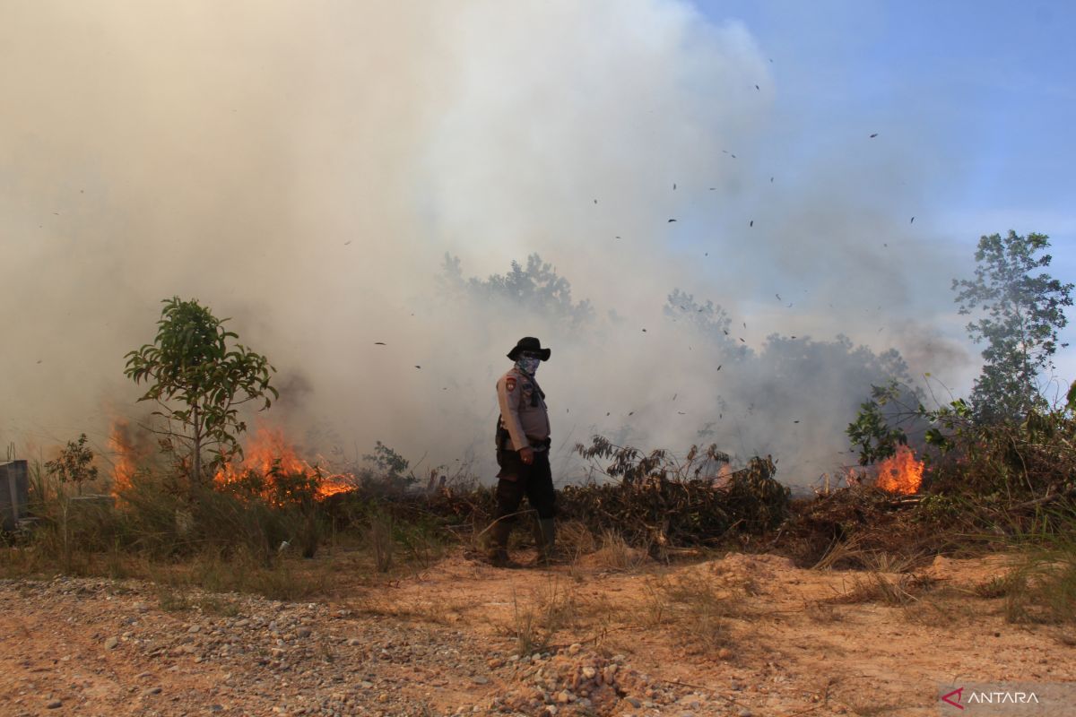 Luas lahan yang terbakar di Riau sejak Januari mencapai 956 hektare