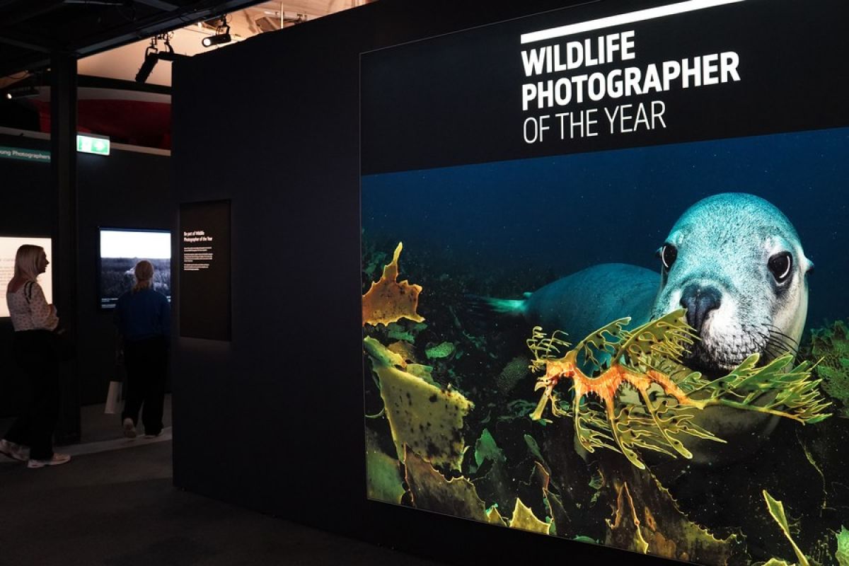 Sydney dengungkan konservasi satwa liar lewat pameran foto
