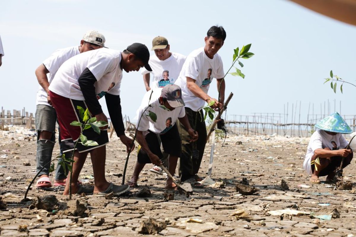 Relawan Ganjar tanam mangrove dan bantu nelayan di Karawang